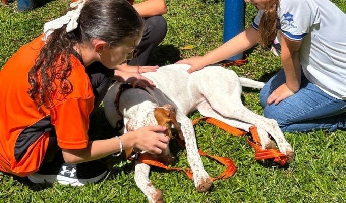 Students pet a dog outside